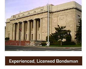 Bail Agent 