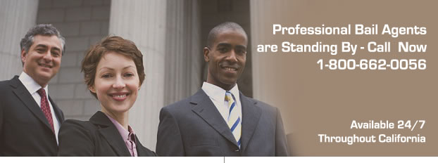 Professional Bail Agents