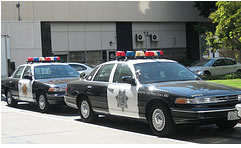 S.D.P.D